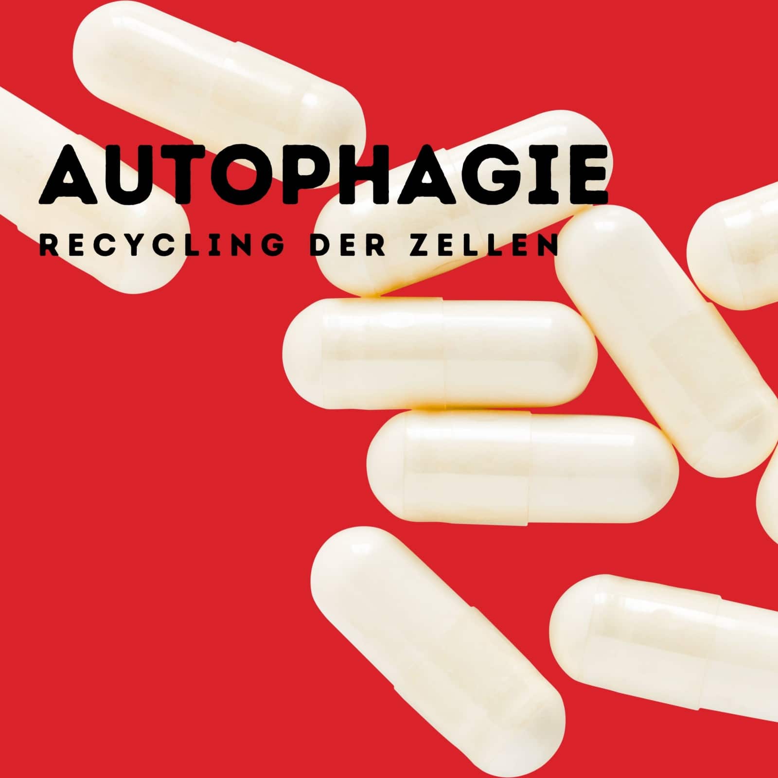 Blog Archiv 10 Apotheke Möhlin - autophagie